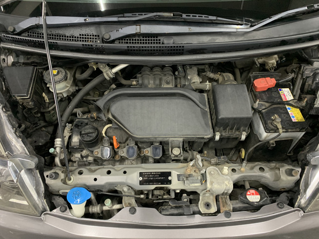 ����]�̂��Ԃ����q�l�ƈꏏ�ɂ��T�����邱�Ƃ��\�ł�!�܂��͂���]�������������������B