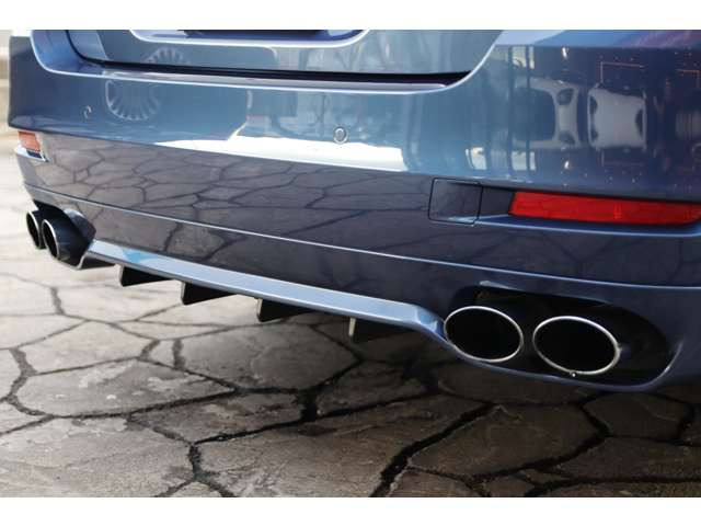 ALPINA�G�L�]�[�X�g�V�X�e��