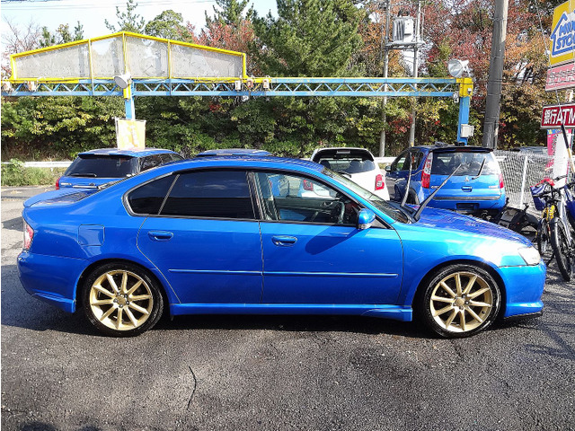 ���傫���ڗ��悤�ȏ����Ȃ��A���̂܂܋C�����悭����蒸���܂���