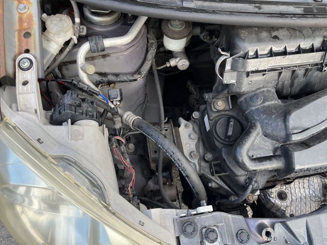 �Ԃ̐S�����͑f�̏�Ԃł��m�F�������������̂ŁA������㐴�|���{�������܂��B