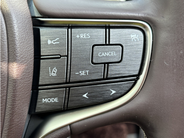 ���[�_�[�N���[�Y�R���g���[���E���[���L�[�v�E�v���N���b�V���Z�[�t�e�B�V�X�e��