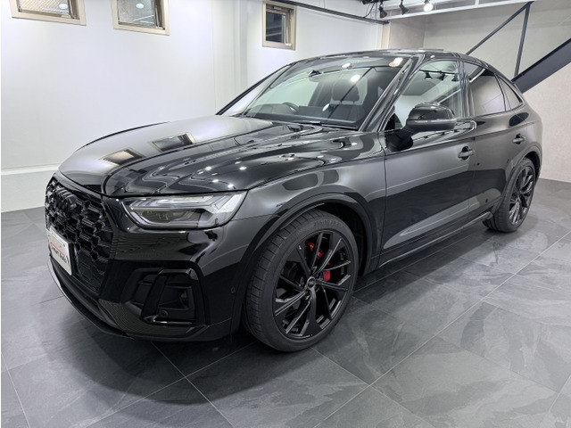 &rarr;�A�_�v�e�B�uS�X�|�[�c�G�A�T�X�y���V�����A�J���[�h�u���[�L�L�����p�[/���b�h�A�v���C�o�V�[�K���X�AAudi���j�o�[�T���g���t�B�b�N���R�[�_�[2.0(�O��Ɨ��J�����^�C�v�h���C�u���R�[�_�[)&rarr;