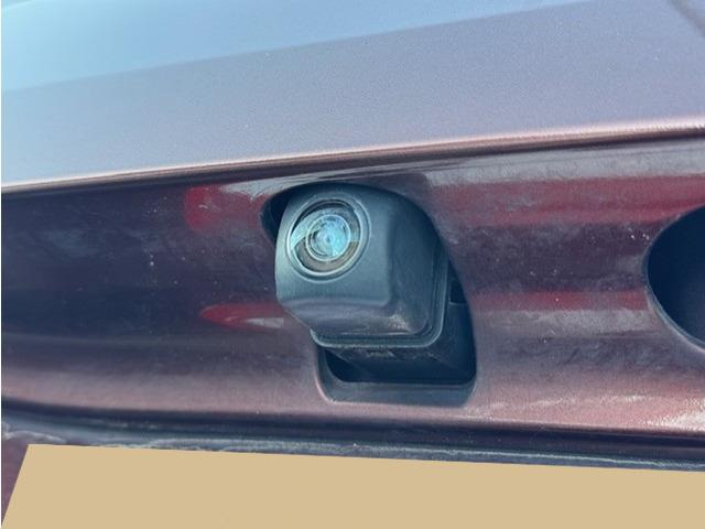 �o�b�N�J�����������Ă���܂��̂Œ��Ԃ����ȕ������S!