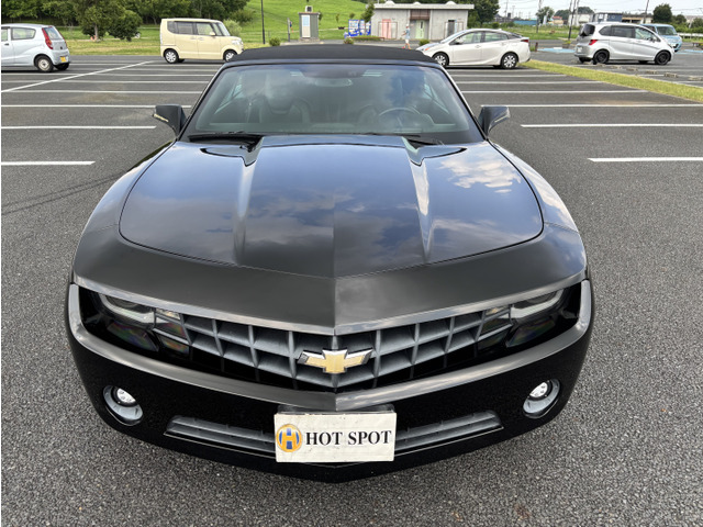 �J�}���R���o�[�`�u��(�V�{���[) 3.6�@24AW ���[�_�E�� �ЊOH���C�g ���Îԉ摜