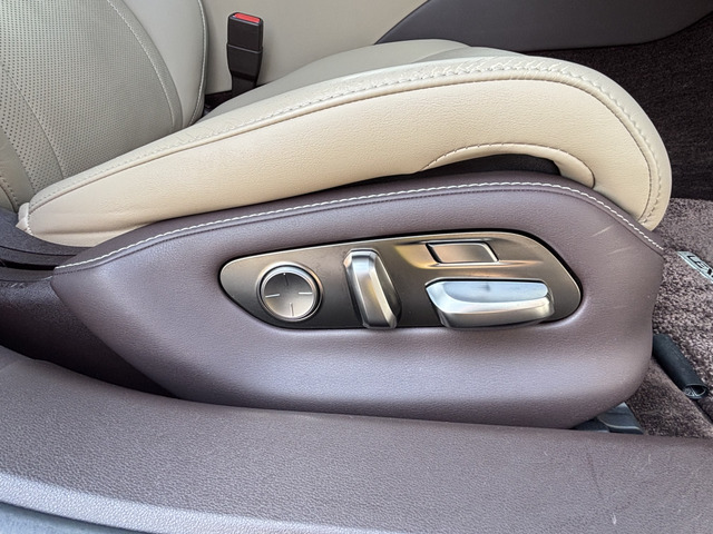 �p���[�V�[�g