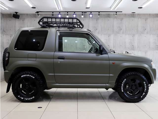 �V�i�}�b�h�e���[���^�C���𑕒������p�W�F���~�j�̓A�N�e�B�u�Ȏd�l�ɂȂ��Ă���܂��B