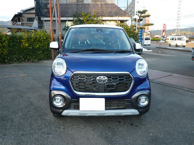 �s�N�V�X�W���C�̓_�C�n�c�L���X�g�A�N�e�B�o�̎o���ԗ��ɂȂ�܂��B���O���E�����ɑ傫�ȈႢ�͂���܂���B