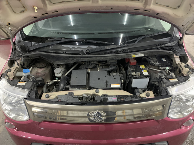 ����]�̂��Ԃ����q�l�ƈꏏ�ɂ��T�����邱�Ƃ��\�ł�!�܂��͂���]�������������������B