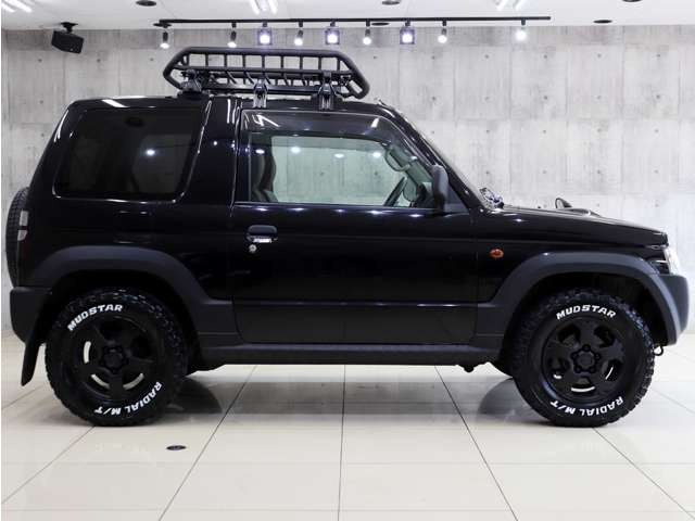 �V�i�}�b�h�e���[���^�C���𑕒������p�W�F���~�j�̓A�N�e�B�u�Ȏd�l�ɂȂ��Ă���܂��B