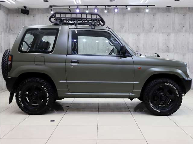 �V�i�}�b�h�e���[���^�C���𑕒������p�W�F���~�j�̓A�N�e�B�u�Ȏd�l�ɂȂ��Ă���܂��B