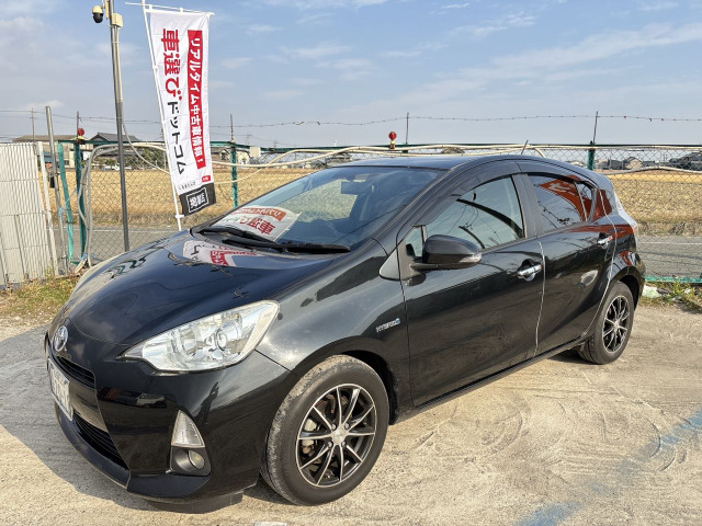 �A�N�A(�g���^) 1.5 G ���Îԉ摜