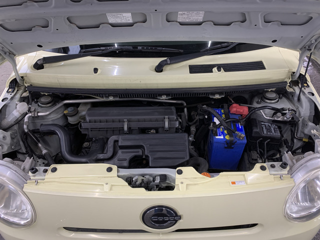 ����]�̂��Ԃ����q�l�ƈꏏ�ɂ��T�����邱�Ƃ��\�ł�!�܂��͂���]�������������������B