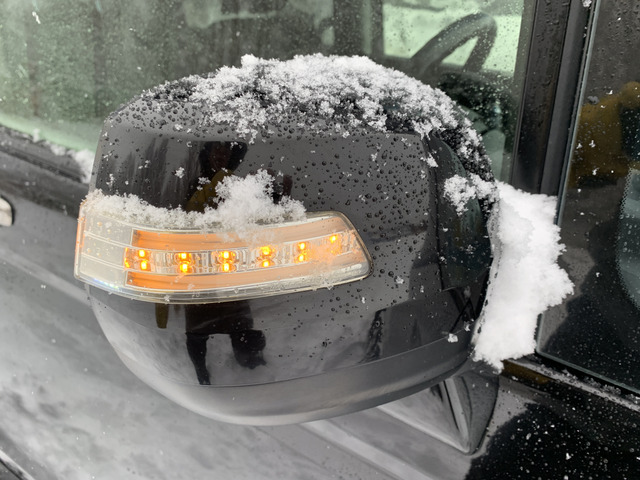 �h�A�~���[�E�C���J�[