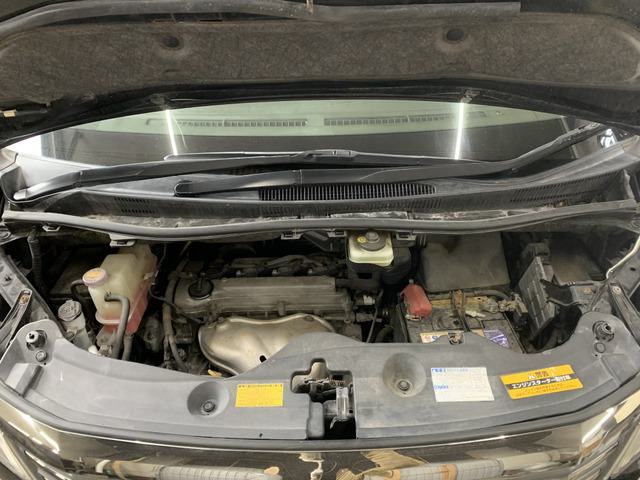 ����]�̂��Ԃ����q�l�ƈꏏ�ɂ��T�����邱�Ƃ��\�ł�!�܂��͂���]�������������������B