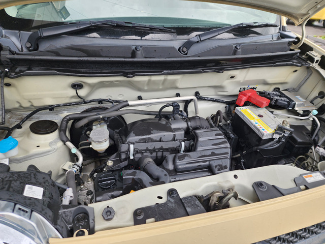 ���e��J�X�^�����G�A����t���ЊO�A���~�z�C�[�����A���������Ă���܂�!