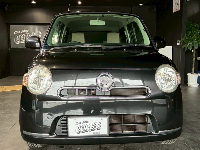 �����傫���^�]���₷��