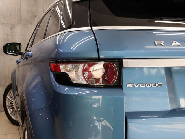 �e�[�������v�������傫�ȃL�Y�������A�����Y��ȏ�Ԃ�ۂ��Ă���܂��B�e�[���̃u���b�N�A�E�g�J�X�^����ЊO�e�[���ւ̃J�X�^�������C�y�ɂ����k���������B