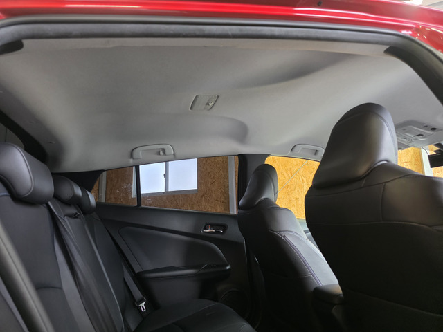 �㕔���Ȃ��C�ɂȂ�悤�ȃL�Y�E�����ւ��蓙�A�傫�ȃ_���[�W�͂Ȃ��A�ǍD�ȏ�Ԃł��B