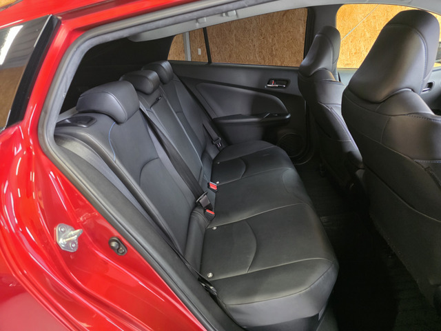 �㕔���Ȃ��C�ɂȂ�悤�ȃL�Y�E�����ւ��蓙�A�傫�ȃ_���[�W�͂Ȃ��A�ǍD�ȏ�Ԃł��B