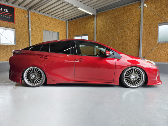 �l�C��S�c�[�����O���ׂ������܂���! �G���[�V���i�����b�h�A�ƂĂ��L���C�ł����������ł�!!