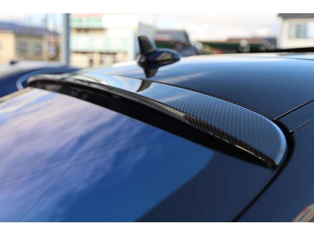 MANSORY���A���[�t�X�|�C���[(�J�[�{��)