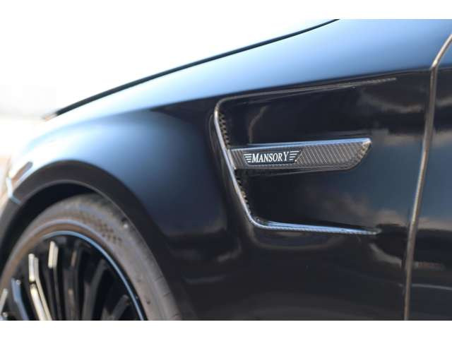MANSORY�t�����g�t�F���_�[�E�J�[�{���h�����h��