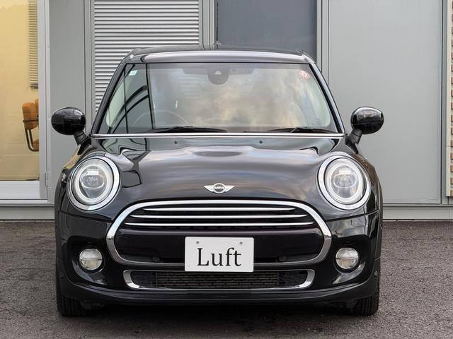 �{�f�B�J���[:�~�b�h�i�C�g�u���b�N!�j����킸�l�C�̍����J���[�ł�!