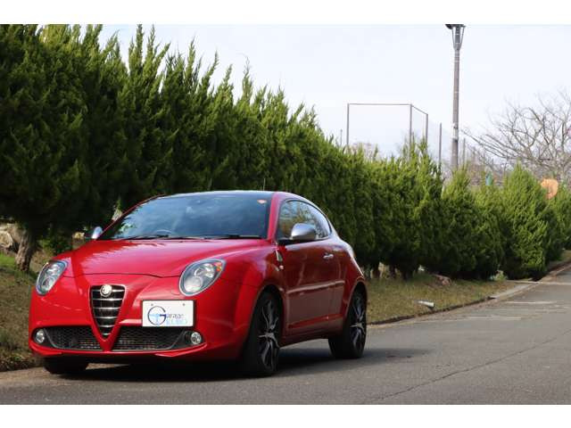 ミトクアドリフォリオ ヴェルデ リミテッドエディション