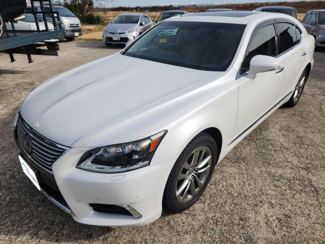 �����q�l�����X���ł̐v���Ȃ��Ή��ׂ̈ɏo���܂�����A�O�����Ă̂��\����F�l�ւ��肢�v���Ă���܂��B���Ђ̖�����p�_�C�����܂ł��肢�v���܂��B