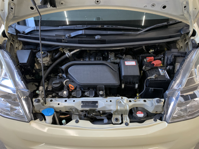 ����]�̂��Ԃ����q�l�ƈꏏ�ɂ��T�����邱�Ƃ��\�ł�!�܂��͂���]�������������������B