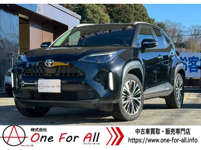 �����X�N���X(�g���^) 1.5 Z ���Îԉ摜