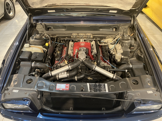 �傫�ȃL�Y�ւ��݂ǂ��납�������L�Y���炠�܂茩�󂯂��Ȃ���Ԃł��B