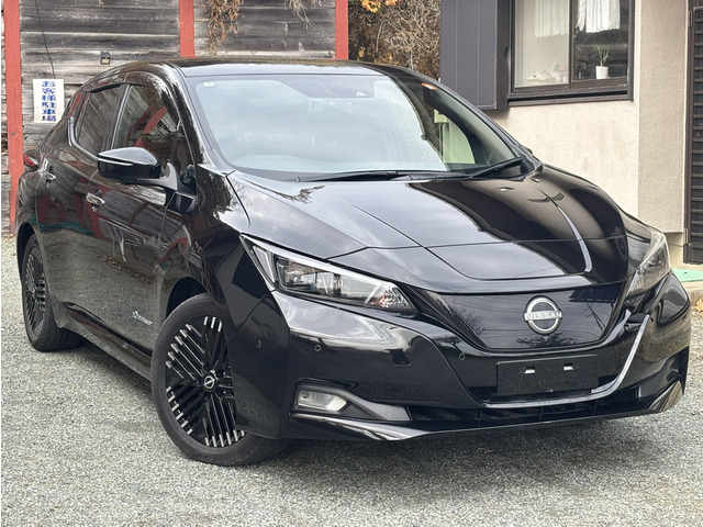 リーフ(日産) G　ナビ・ETC・TV 中古車画像