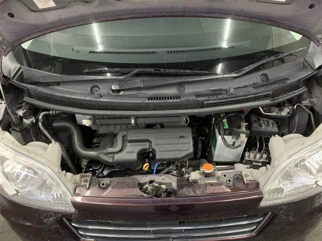 ����]�̂��Ԃ����q�l�ƈꏏ�ɂ��T�����邱�Ƃ��\�ł�!�܂��͂���]�������������������B