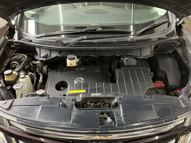 ����]�̂��Ԃ����q�l�ƈꏏ�ɂ��T�����邱�Ƃ��\�ł�!�܂��͂���]�������������������B