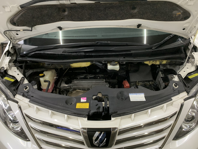 ����]�̂��Ԃ����q�l�ƈꏏ�ɂ��T�����邱�Ƃ��\�ł�!�܂��͂���]�������������������B