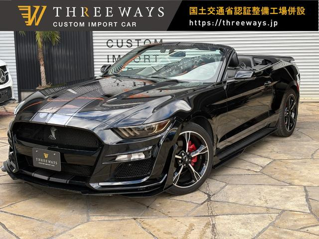 �}�X�^���O�R���o�[�`�u��(�t�H�[�h) Car�t�@�b�N�X&amp;�I�[�g�`�F�b�N�L�� ���Îԉ摜