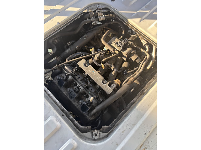 �^�y�b�g�J�o�[�p�b�L���ތ����ς�