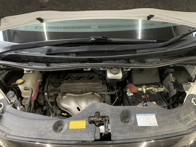 ����]�̂��Ԃ����q�l�ƈꏏ�ɂ��T�����邱�Ƃ��\�ł�!�܂��͂���]�������������������B