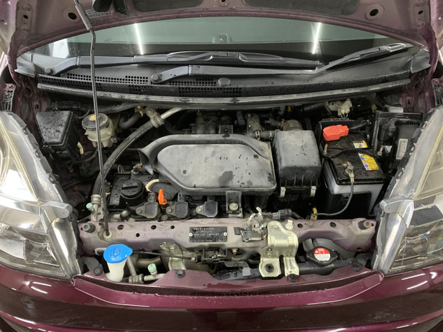 ����]�̂��Ԃ����q�l�ƈꏏ�ɂ��T�����邱�Ƃ��\�ł�!�܂��͂���]�������������������B