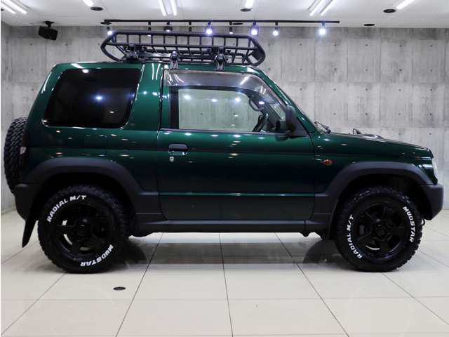 �V�i�}�b�h�e���[���^�C���𑕒������p�W�F���~�j�̓A�N�e�B�u�Ȏd�l�ɂȂ��Ă���܂��B