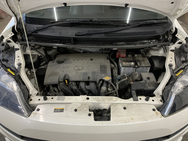 ����]�̂��Ԃ����q�l�ƈꏏ�ɂ��T�����邱�Ƃ��\�ł�!�܂��͂���]�������������������B