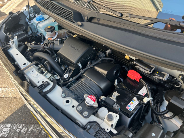 �����s��1���L����Ńz���_�f�B�[���[�ɂĒ���_���������񗚗�����܂�