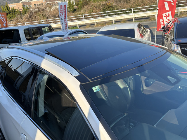 �p�m���}���[�����[�t&���[�t���[��