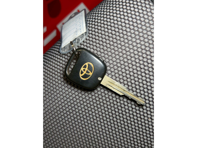 �y�L�[���X�G���g���[�z