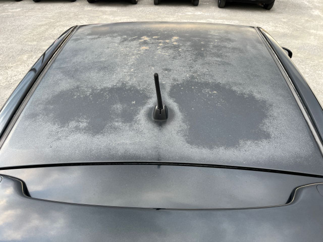 ���[�t�S�̂ɓh���X������܂��B(���[�t�̂݃{�f�B�[���b�s���O���D�݂̐F�Ŏ{�H�����Ă��������܂�)