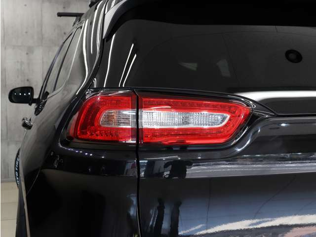 �e�[�������v�������傫�ȃL�Y�������A�����Y��ȏ�Ԃ�ۂ��Ă���܂��B�e�[���̃u���b�N�A�E�g�J�X�^����ЊO�e�[���ւ̃J�X�^�������C�y�ɂ����k���������B