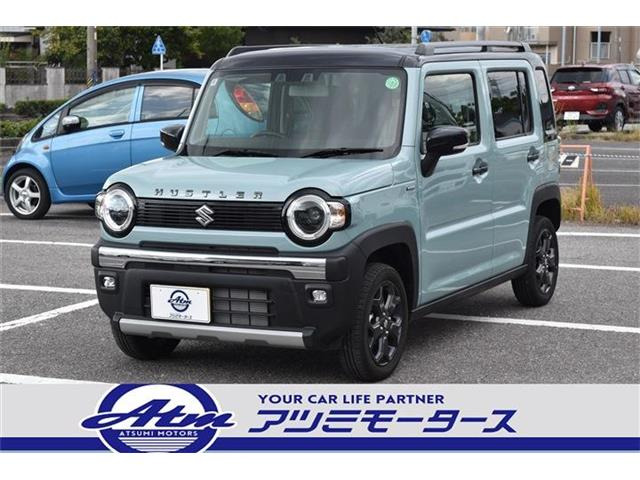 ハスラータフワイルド