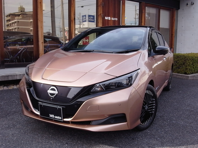 リーフ（日産）X Vセレクション　プロパイロット純正ナビTV全方位カメラ 中古車画像