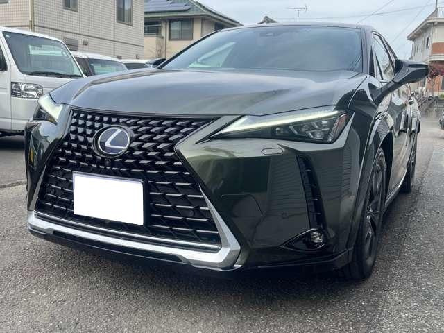 UX250h バージョンC